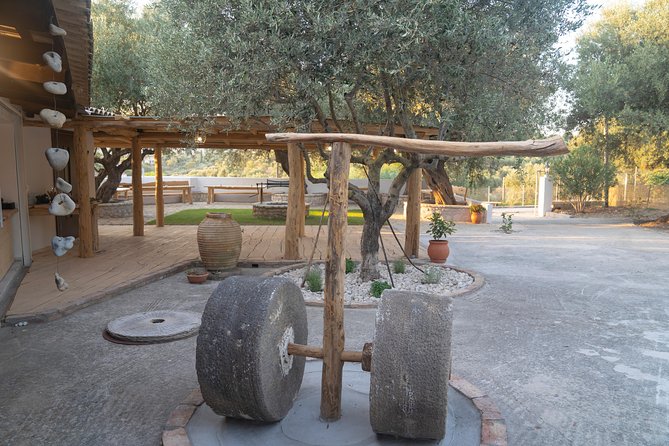 Olive Tour & Tasting - A small mill with a big place in Greek life