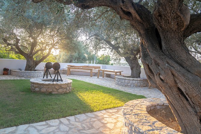 Olive Tour & Tasting - The waterfall and spring-water stop