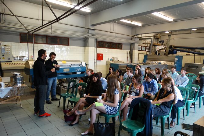 Olive Tour & Tasting - Seeing how olives become oil