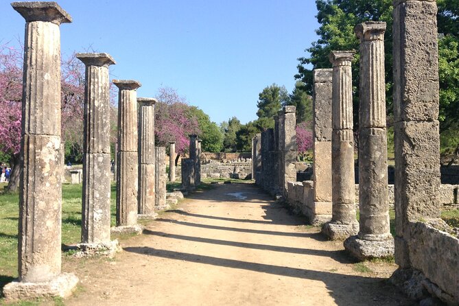 Olympia Shore Ex: Premium Private Package -Tickets & Olive Market - Walking through the Sanctuary of Olympia