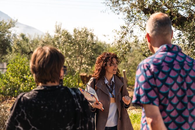 Organic Olive Grove tour & Olive oil tasting & lunch in Kalamata! - Why Kalamata is the right place for an olive-oil tour