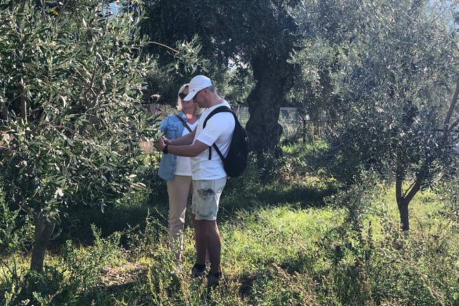 Organic Olive Grove tour & Olive oil tasting & lunch in Kalamata! - Four oils, four lessons at a Kalamata shop