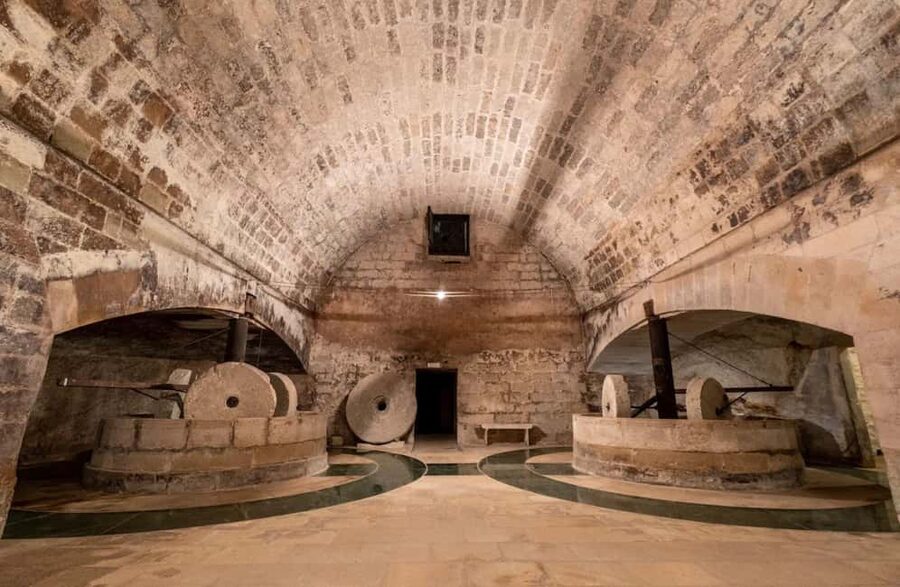 Organic Wine and Olive Oil Tasting Experience near Lecce - Key Points to Know Before You Go