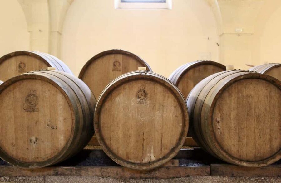 Organic Wine and Olive Oil Tasting Experience near Lecce - Extra Virgin Olive Oil and a Point to Confirm