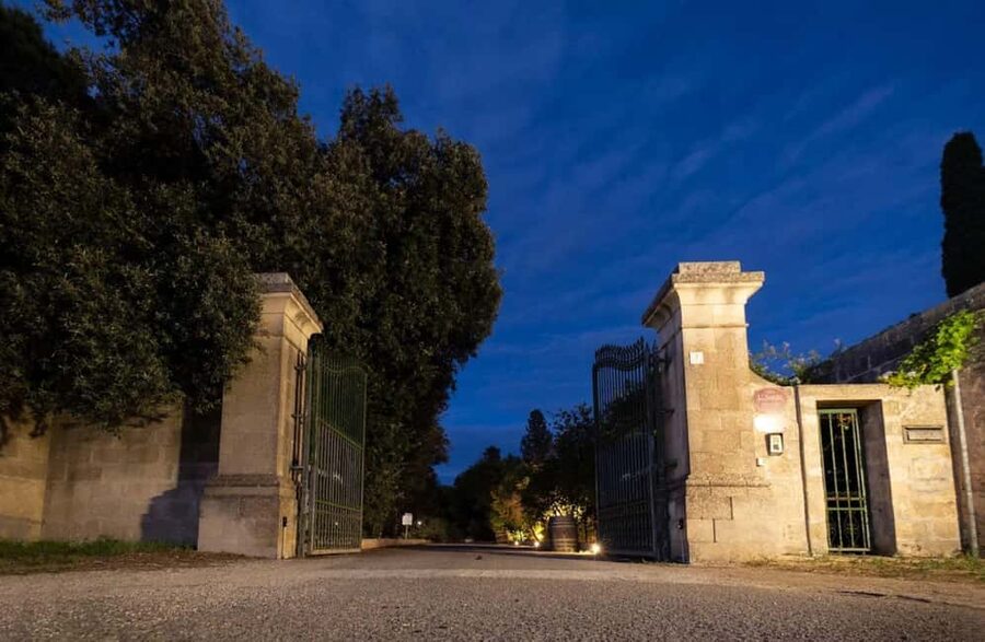 Organic Wine and Olive Oil Tasting Experience near Lecce - Is $57 a Fair Price?