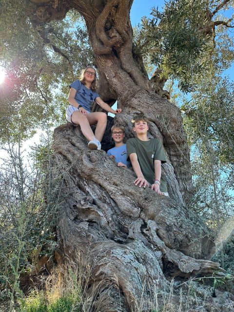 Ostuni: E-bike Tour, Ancient Olive Trees & Oil Tasting - The Montalbano Dolmen and a 4,000-year-old pause