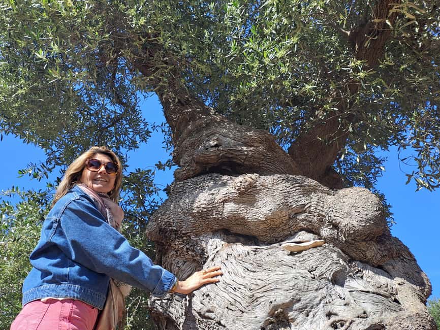 Ostuni: Guided e-bike tour to rock village & olive trees - Key points to know before you book