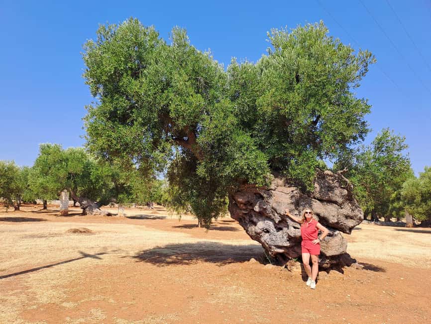 Ostuni: Guided e-bike tour to rock village & olive trees - Heat, pace, and physical demands