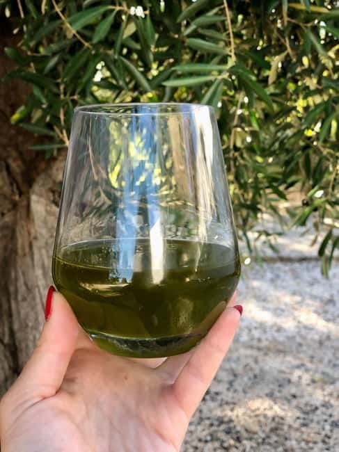Ostuni: Masseria tour among thousand-year-old olive trees with oil tasting - Getting to Masseria Rienzo near Ostuni