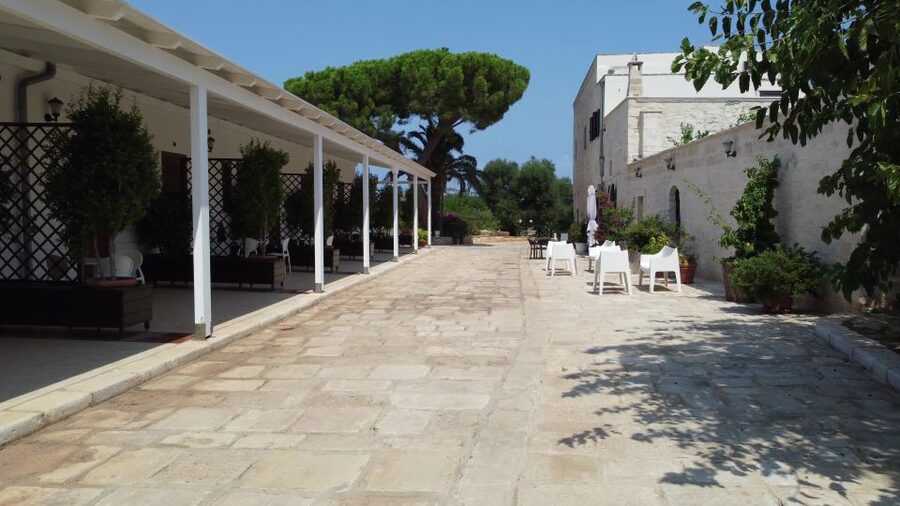 Ostuni: Olive Oil Tasting Tour - A practical way to plan your visit
