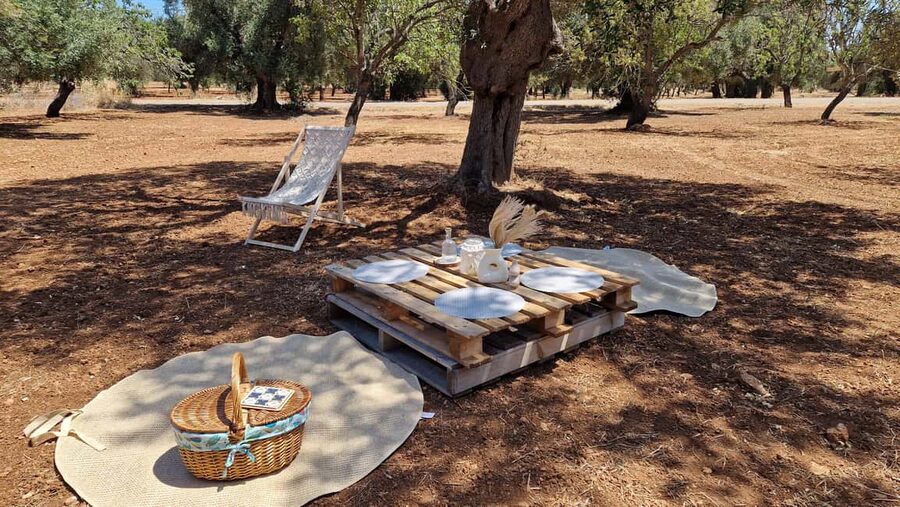 Ostuni: San Vito dei Normani: Organic Picnic in Olive Grove - Games for a relaxed afternoon