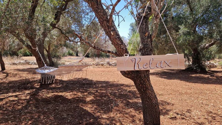 Ostuni: San Vito dei Normani: Organic Picnic in Olive Grove - Why the location works from Ostuni and Brindisi
