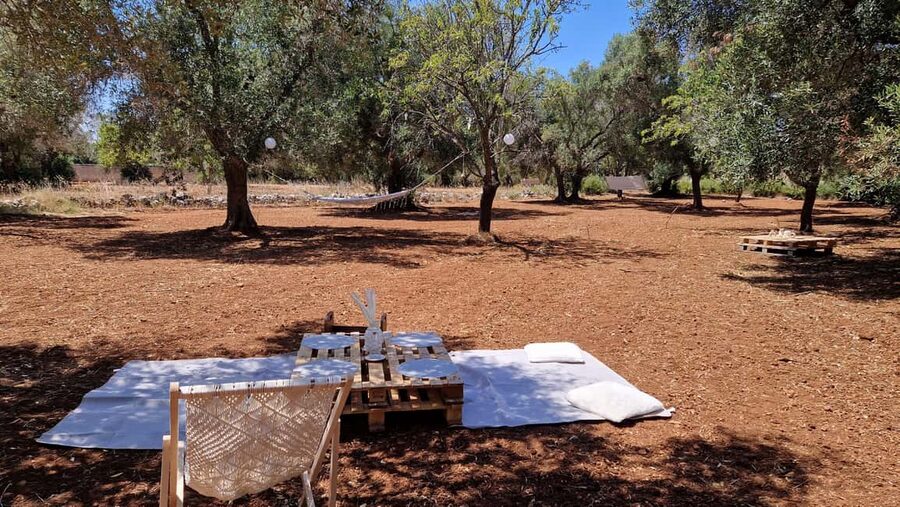 Ostuni: San Vito dei Normani: Organic Picnic in Olive Grove - The food value at $88 per person