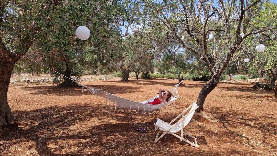 Ostuni: San Vito dei Normani: Organic Picnic in Olive Grove - Booking flexibility and practical timing