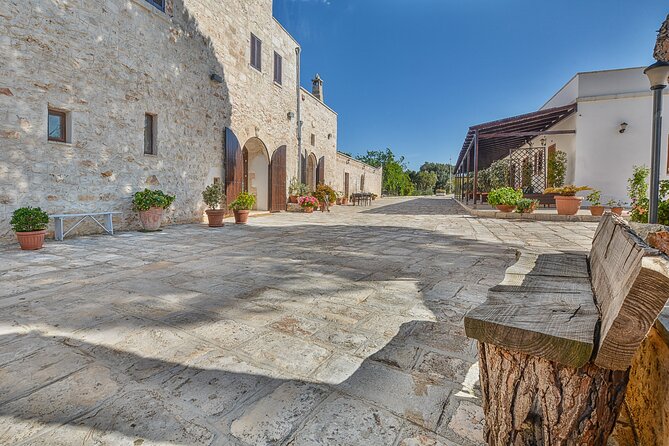 Ostuni : Tasting of Extra Virgin Olive Oil in Masseria - Walking among Puglia’s oldest olive trees