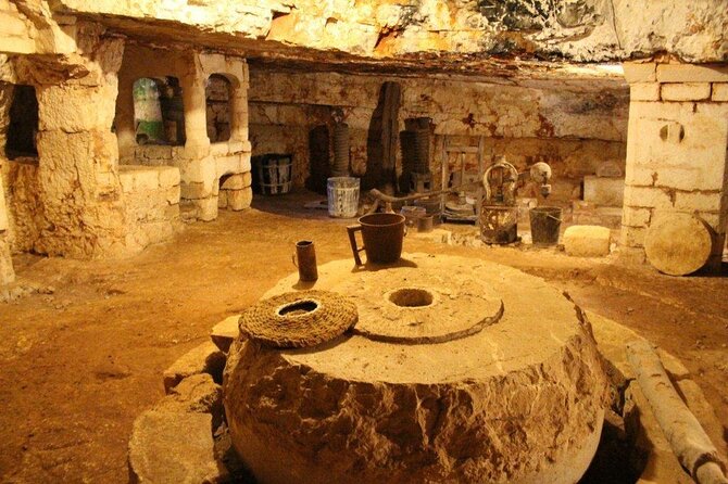 Ostuni : Tasting of Extra Virgin Olive Oil in Masseria - Is $48.06 a fair price?
