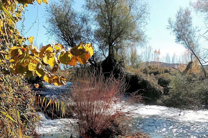 Paella, Olive Oil, Wine & Relax in Rural Estate outside Madrid - Paella, local wine, and time beside the falls