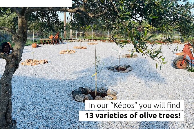Pallada Semi-Private Olive Oil Tours in Sternes, Chania - Seeing how the modern mill works