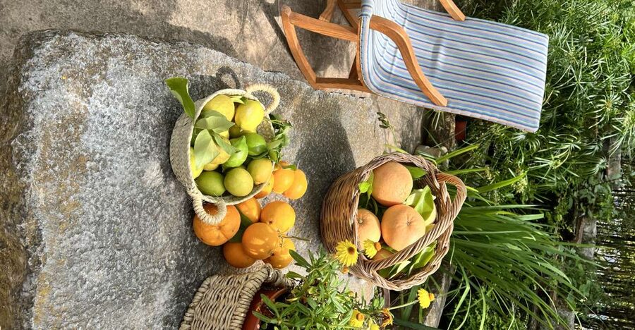 Palma: Orange Farm, Olive Mill, & Winery Tour with Tastings - A food-focused day beyond Palma