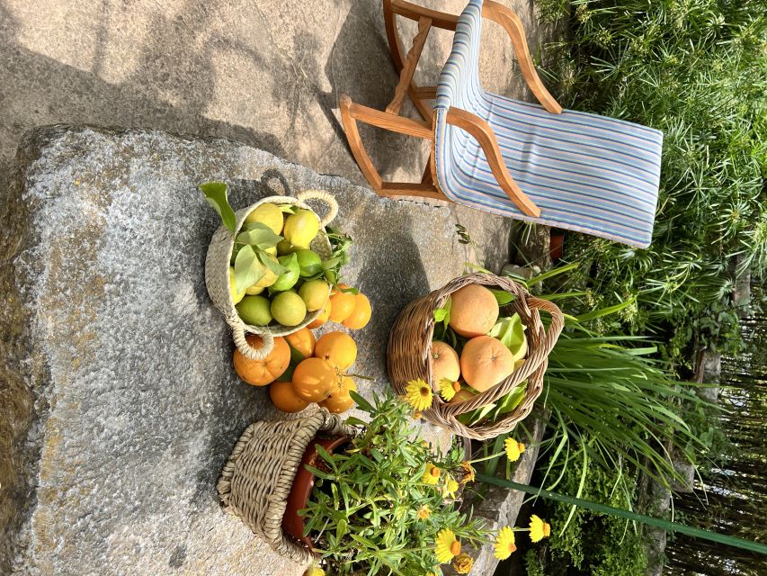 Palma: Orange Farm, Olive Mill, & Winery Tour with Tastings - The olive mill and the taste of extra virgin oil
