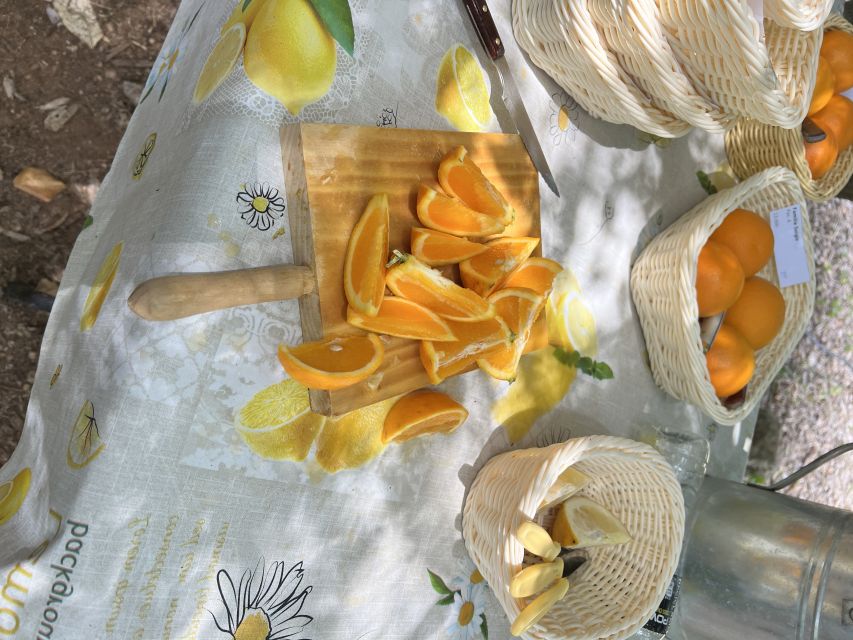 Palma: Orange Farm, Olive Mill, & Winery Tour with Tastings - Is the $221 price good value?