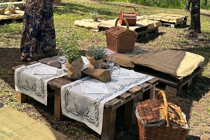 Picnic among the Olive Trees and Tasting of Oil and Local Flavors - Key Points to Know Before Booking