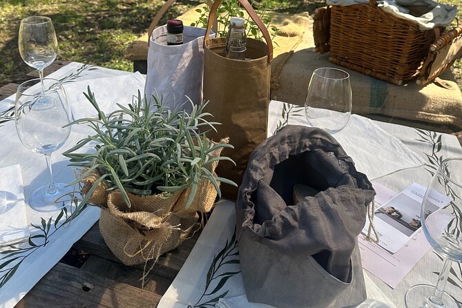 Picnic among the Olive Trees and Tasting of Oil and Local Flavors - Resting Beneath the Olive Trees