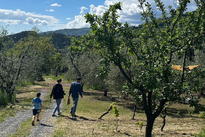 Picnic among the Olive Trees and Tasting of Oil and Local Flavors - Natural Photo Spots Among Trees and Vines