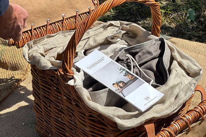 Picnic among the Olive Trees and Tasting of Oil and Local Flavors - Is $90.70 a Fair Price?