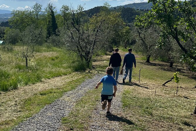 Picnic among the Olive Trees and Tasting of Oil and Local Flavors - Who Will Enjoy This Olive Farm Experience?