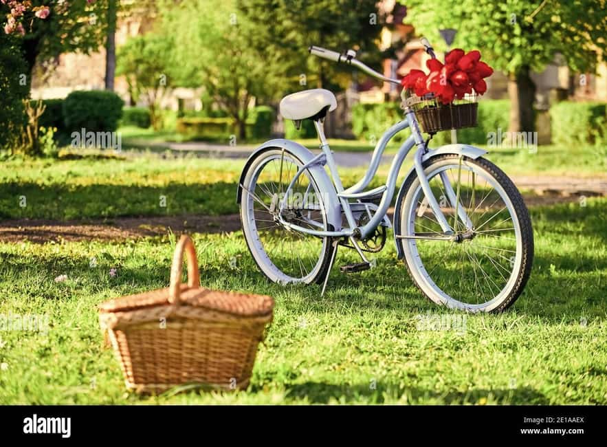 Picnic in the middle of olive groves by e-bike - A viewpoint and a one-hour picnic stop