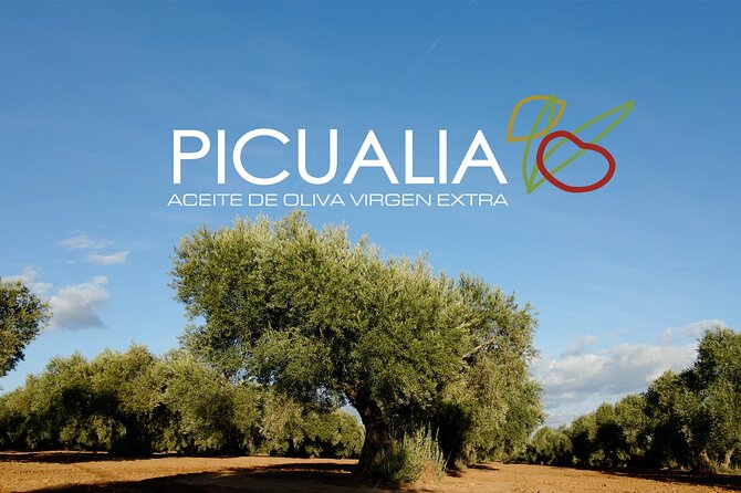 Picualia, olive oil mill tour & EVOO tasting - Why Bailén Makes This Tour Worth Your Time