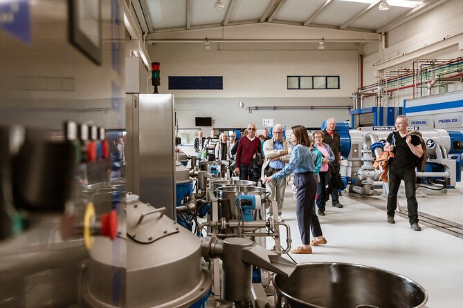 Picualia, olive oil mill tour & EVOO tasting - Inside the Modern Extraction Facilities
