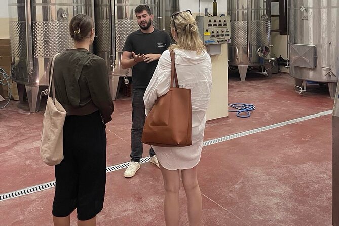 Premium Cretan Olive Oil Tasting, Wine, Raki and Local Food Tour - Who will enjoy this most