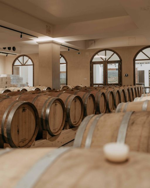 Premium Crete Olive oil tasting, Wine, Raki and Cretan food! - Skalani and the olive oil mill