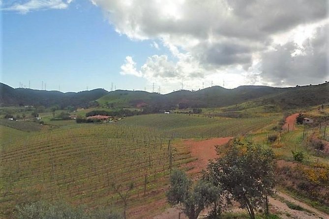 Premium gastronomic mountain tour: Wine, olive oil, spirits, food - Finishing above the Algarve at Monte Fóia