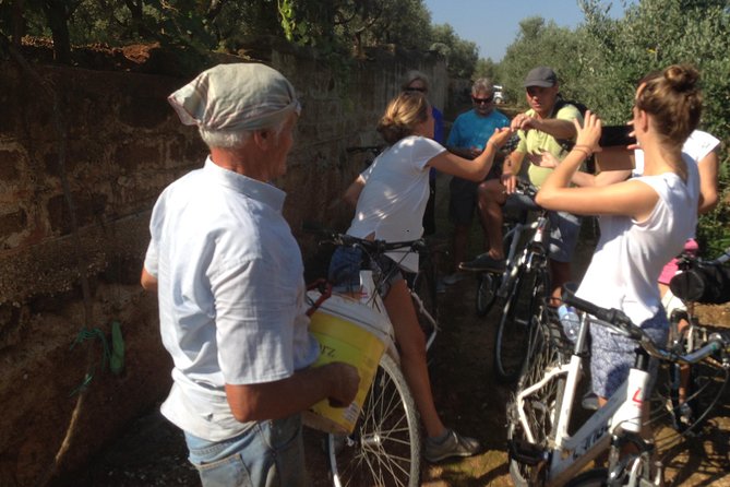 Private Bike Tour with Olive Oil Tasting - Olive oil, lunch, and the food side of the tour
