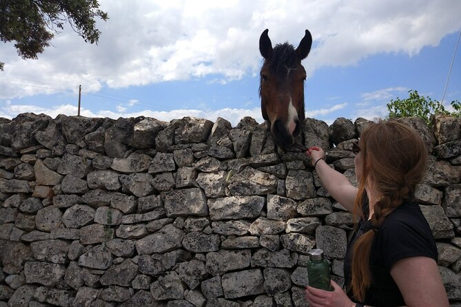 Private Bike Tour with Olive Oil Tasting - The guide makes the difference