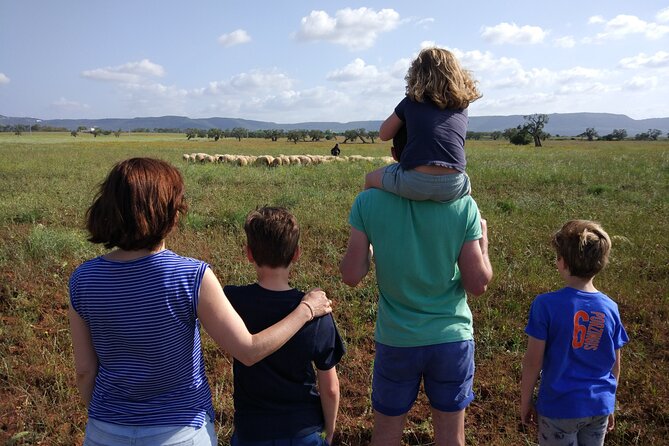 Private Bike Tour with Olive Oil Tasting - Weather is the biggest practical risk