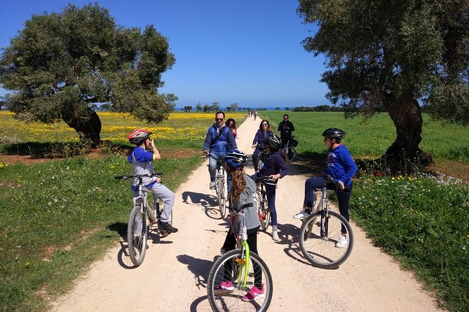 Private Bike Tour with Olive Oil Tasting - Riding the easy lanes around Montalbano