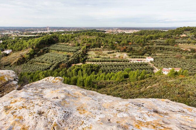 Private guided tour, olive grove in Salon de Provence. - Why the $12.10 price is appealing