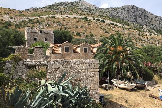 Private Hvar Island Tour and Olive Oil Tasting - Why the guide can shape the whole experience