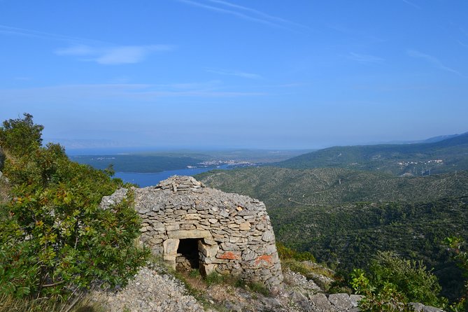 Private Hvar Island Tour and Olive Oil Tasting - The olive oil tasting near Svirče