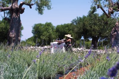 Private Olive Oil Tasting in Polignano a Mare