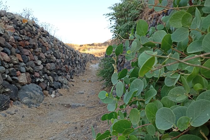 Private Olive Oil tasting & Liqueur experience - Who Will Enjoy This Farm Visit Most?