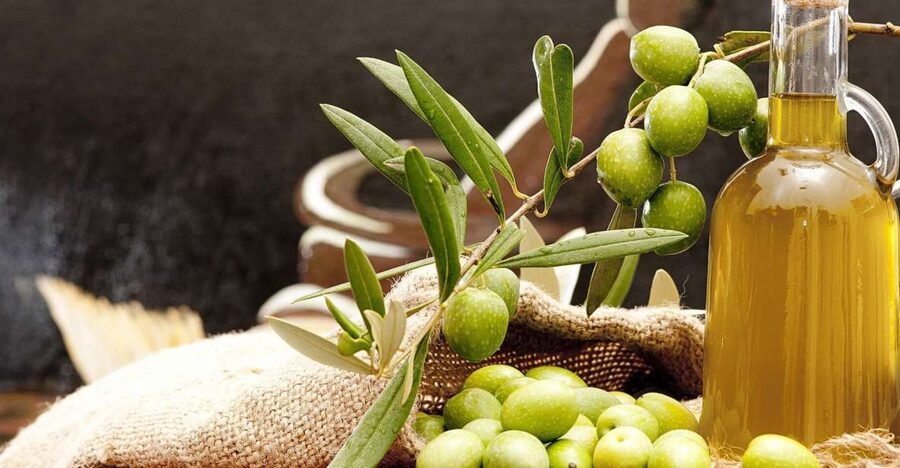 Private Olive Oil Tour & Tasting with Lunch from Katakolo - What is included for $124 per person