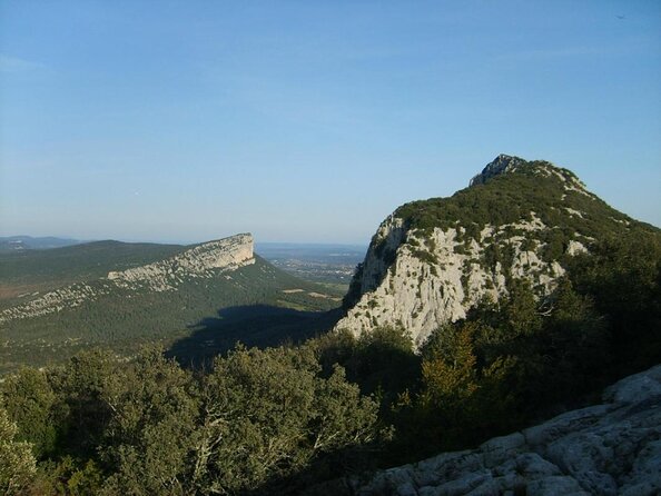 Private Pic Saint Loup Wine and Olive Tour from Montpellier - Key things to know before booking