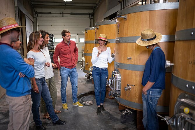 Private Pic Saint Loup Wine and Olive Tour from Montpellier - Château Puech-Haut: a polished first wine tasting