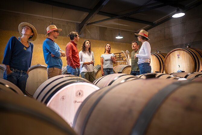 Private Pic Saint Loup Wine and Olive Tour from Montpellier - Lunch: a proper break in the middle of the day