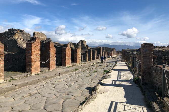 Private Pompeii Tour with lunch and Olive Oil Factory Experience - Who will get the most from this day